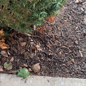 Meet your Posher, Kody